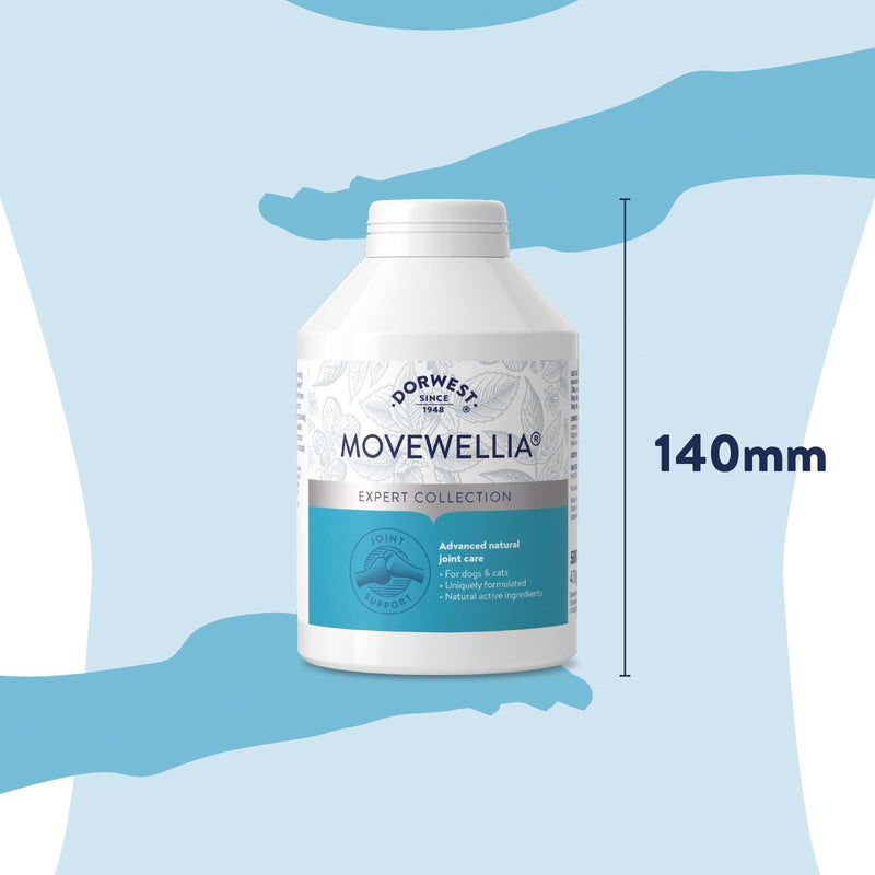 Dorwest Herbs MoveWellia Joint Care Supplement for Dogs and Cats - 500 Tablets - Natural Dog Supplements for Joint Discomfort with Boswellia, Chondroitin, Glucosamine and Celery Seed
