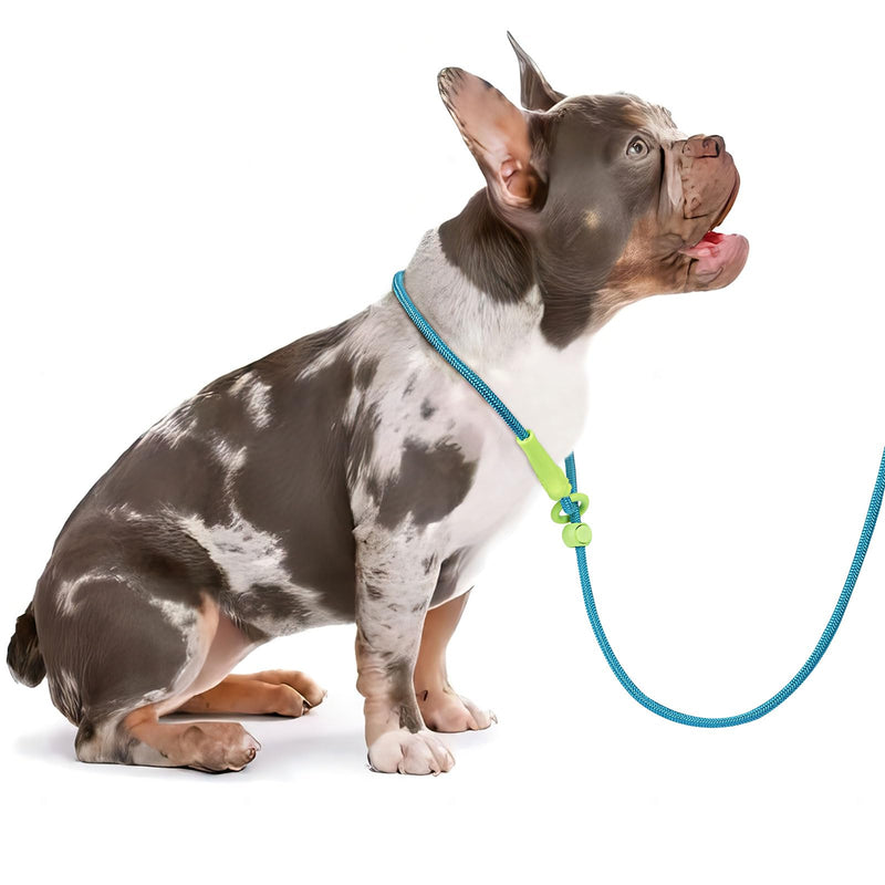 DaFuEn 6 FT Dog Slip Lead Dog Leash Dog Classic Training Leash Lightweight Durable Slip Leads for Dogs No-Pull Slip Leash and Collar Dog Leash for Small Medium Puppies Blue 1.8m - BeesActive Australia