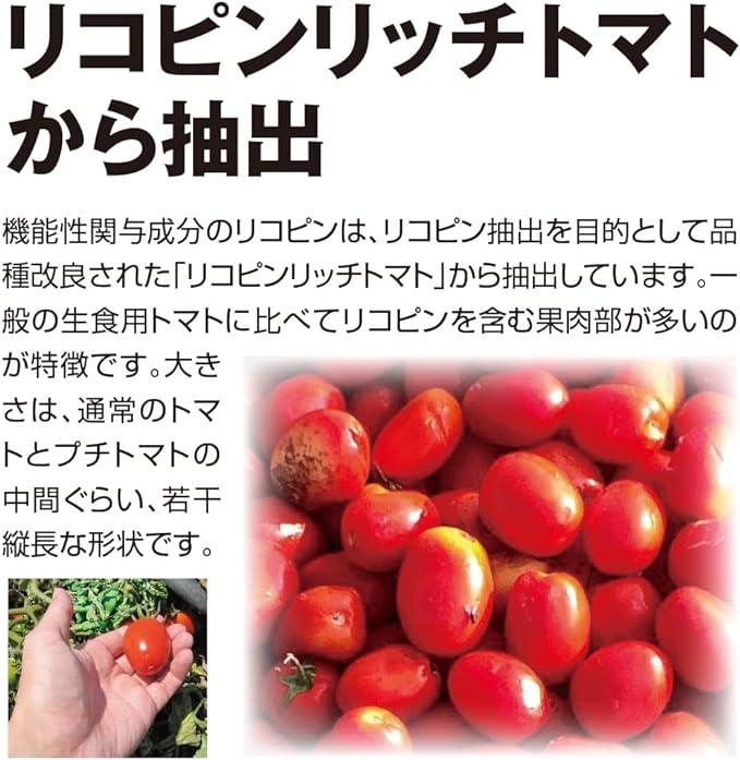Precept Smooth Tomatoes 30 grains [Food with functional claims/lowers bad cholesterol] (single item) - BeesActive Australia