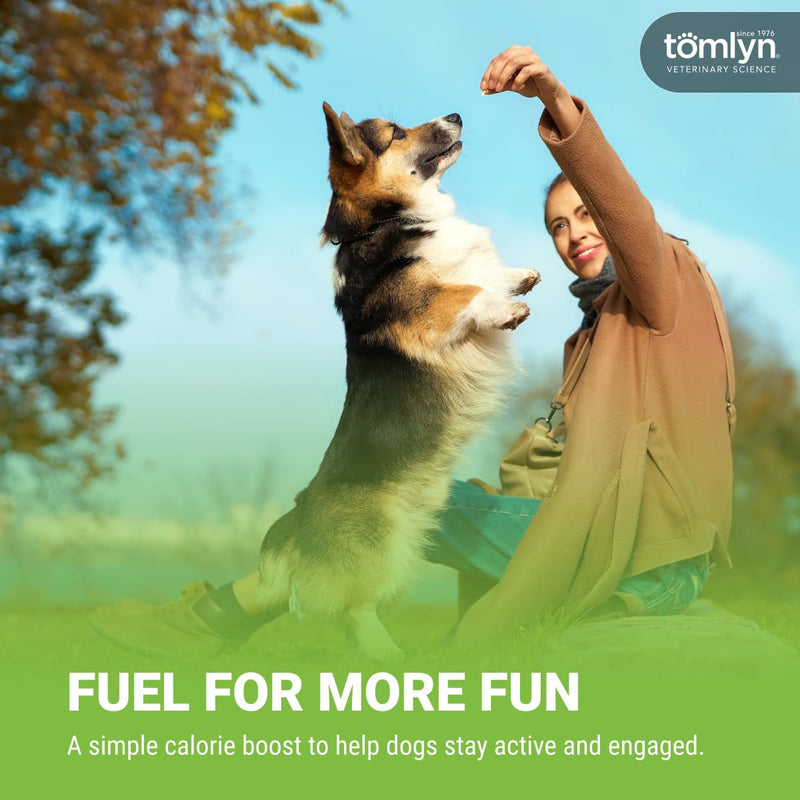 Tomlyn Nutri-Cal Malt-Flavored High-Calorie Nutritional Gel for Dogs, 4.25oz Adult Dog 4.25 oz