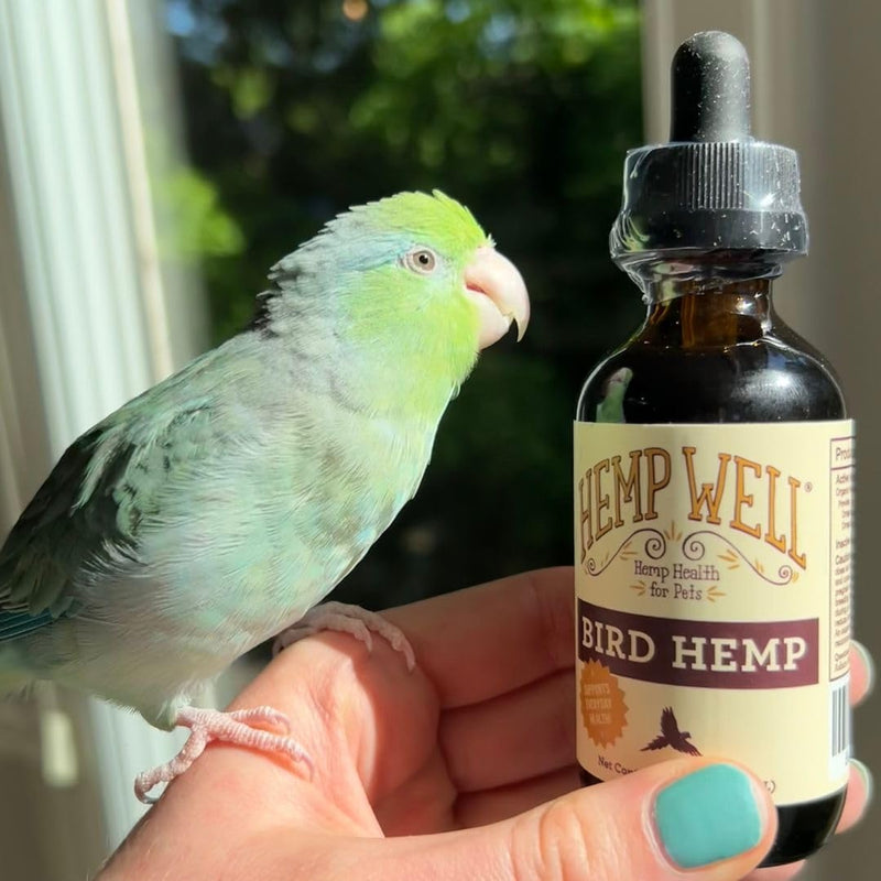 Organic Hemp Well Bird Hemp Oil – 2 Ounces. Parrot, Parakeet, Cockatiel and All Birds for Supporting Health, Feather Plucking, Destructive Behavior Reduction, Immune Support, and Relaxation. - BeesActive Australia