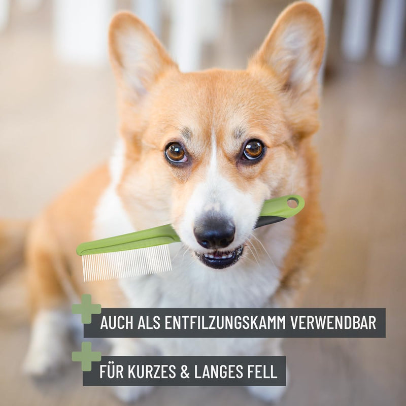 ReaVET flea comb & lice comb for dogs & cats - fur comb against fleas, lice, parasites I for long hair & short hair I for gentle grooming, tick comb for dogs and cats - BeesActive Australia
