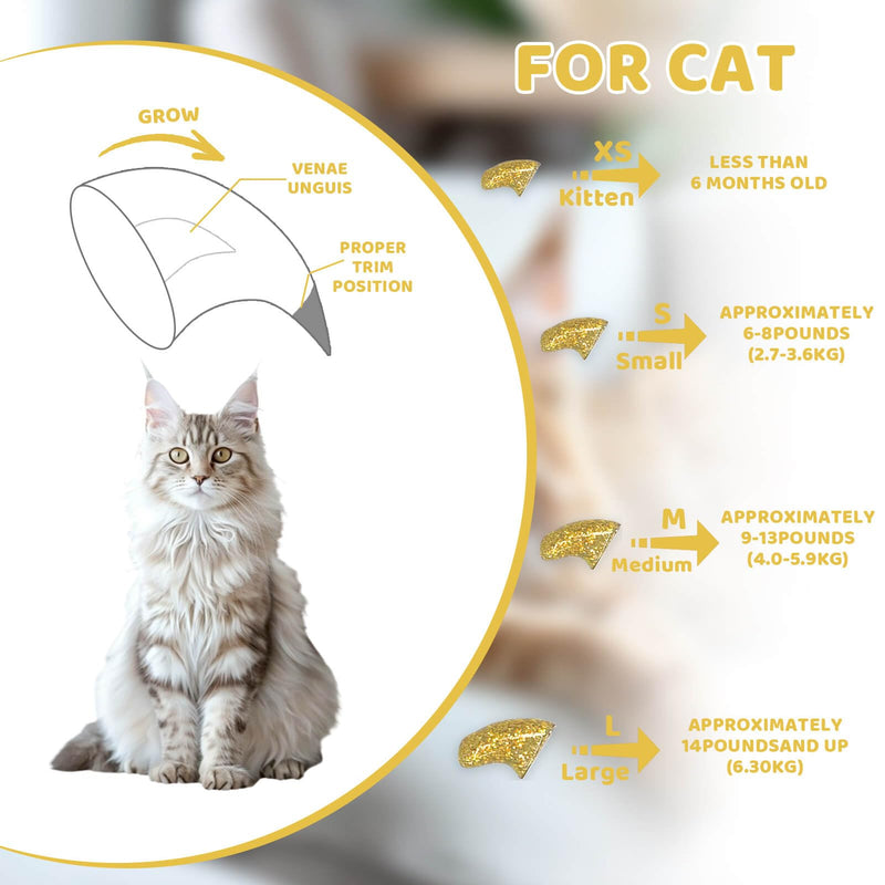Cat Nail Caps with Glue - 20pcs Pet Kitten Cat Claw Caps Cat Claw Covers for Small Medium Large Cats - Crystal Gold M - BeesActive Australia
