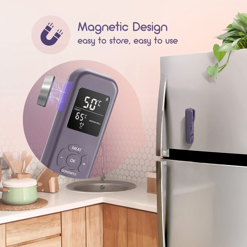 INKBIRD Wireless Meat Thermometer - BeesActive Australia