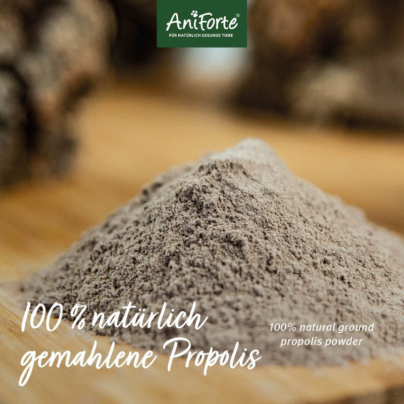 AniForte Propolis Powder for Dogs & Cats 20g - Natural propolis powder to support the immune system, defenses and vital skin - BeesActive Australia
