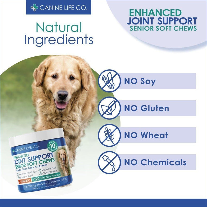 Canine Life Co. Senior Dog Joint Supplement – 10 Active Ingredients with Glucosamine, Green Lipped Mussel & Turmeric – High Strength Soft Chews for Dogs Aged 8+ – 120 Chicken-Flavoured Treats