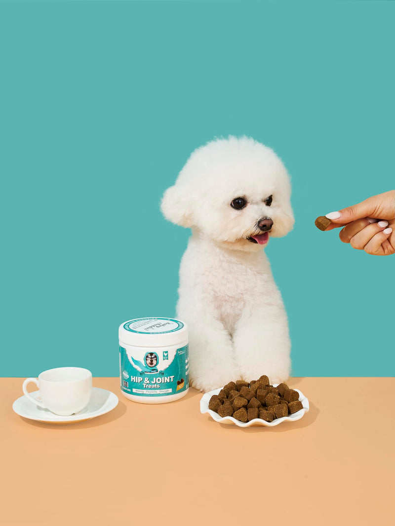 Bailey & Buddies Hip and Joint Supplement for Dogs, 120 Soft Chews with Glucosamine, Chondroitin, MSM and Green-Lipped Mussel, Joint Support for Senior Dogs and All Breeds - Chicken Flavor