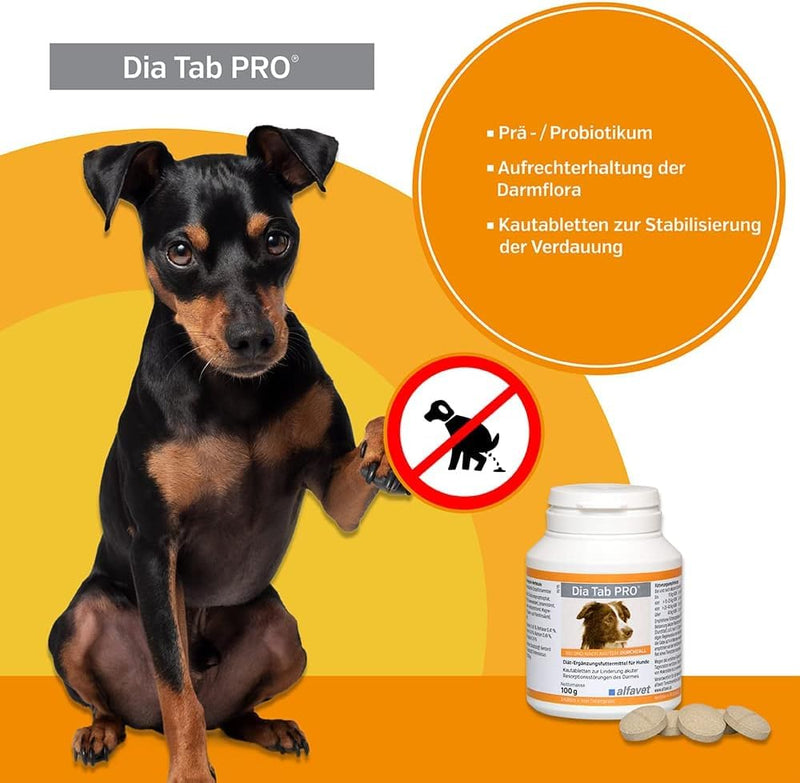 DIA TAB chewable tablets for dogs/cats 6X5.5 g - BeesActive Australia