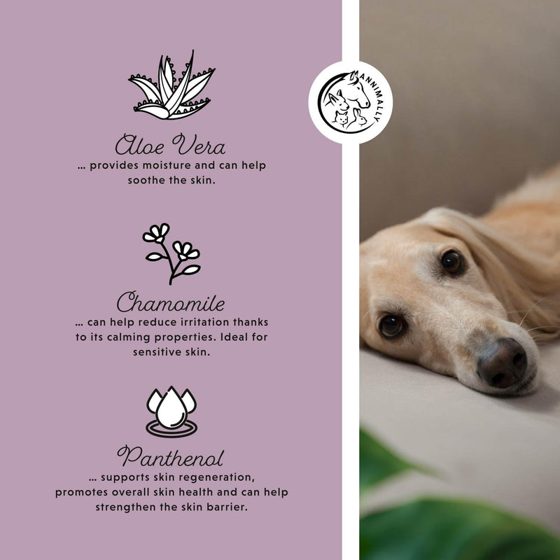 Annimally Eye Pads for Dogs 100 pcs. - With Chamomile & Aloe Vera, Perfume-Free for Cleaning the Eye Area and Removing Tear Stains, Dust & Dirt, Made in Germany