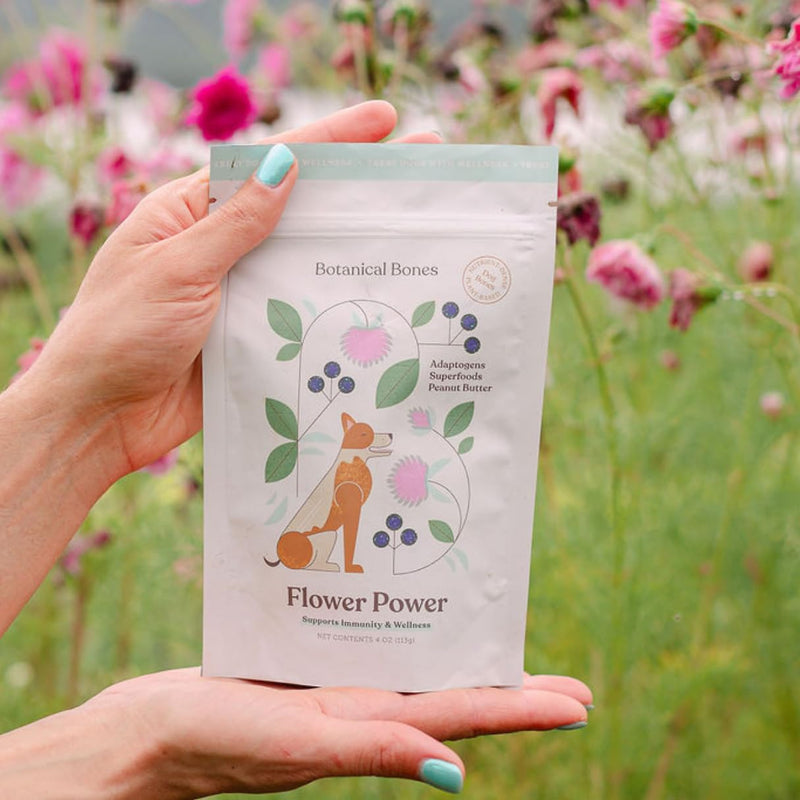 Flower Power Healthy Dog Treats - Mushroom Supplement Chews for Dogs with Reishi Mushroom & Antioxidants - Vet Formulated Vegan Peanut Butter Treats, 2 Pack Flower Power 4 Ounce (Pack of 2)