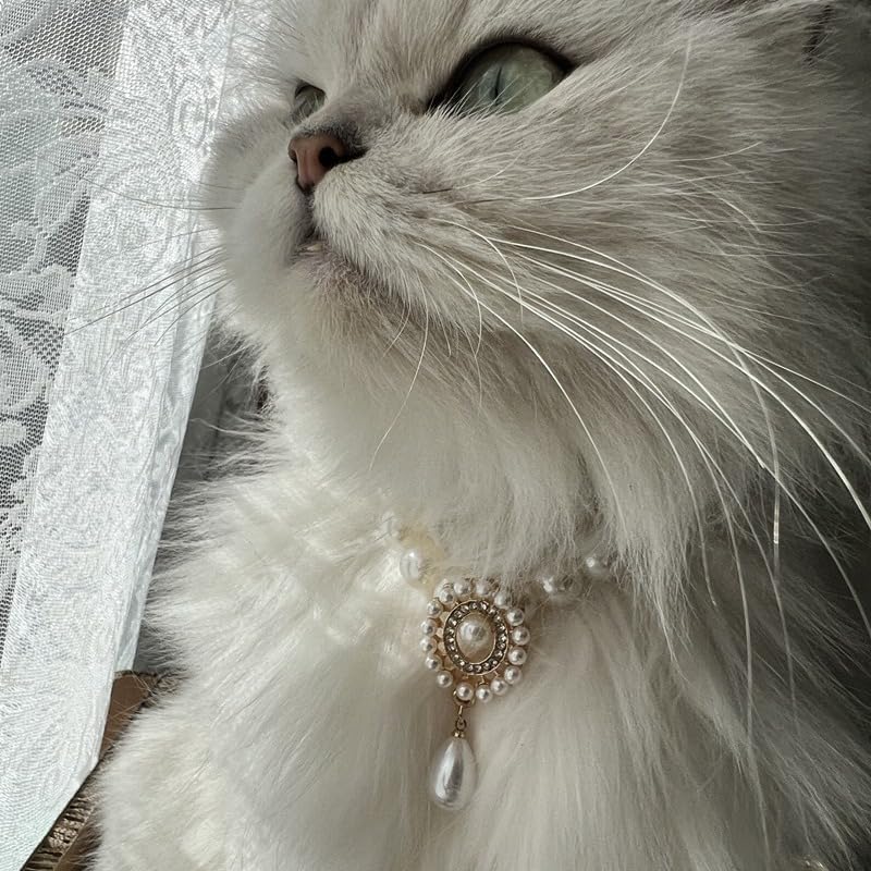 Cat and Dog Collar A Vintage Pearl for Pets, Elegant Decoration for Cats and Dogs (S) Small - BeesActive Australia