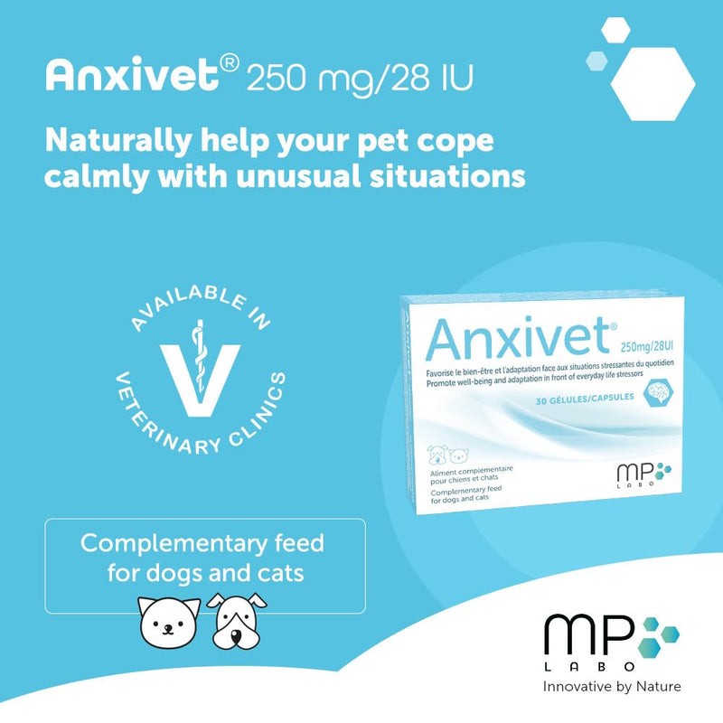MP Labo Anxivet - Promotes Well-being and Adaptation to Stressful Daily Situations for Dogs and Cats (250 mg 28 IU 30 Capsules)