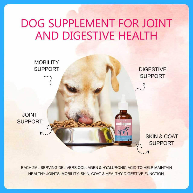 Natures Paw Liquid Collagen for Dogs, Biotin, Hyaluronic Acid & Vitamin C, Hip and Joint Support, Healthy Skin & Coat – 60ml