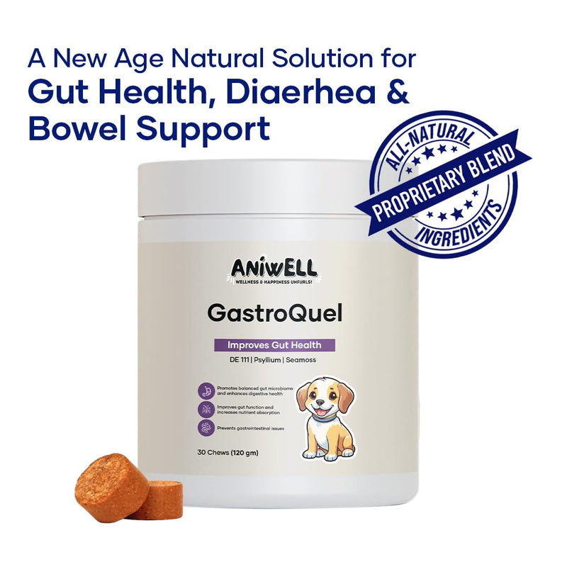 GastroQuel – Probiotics for Dogs | Digestive Support, Gut Health & Bowel Care | Dog Probiotic Chews | Dog Vitamins and Supplements - 30 Count 1