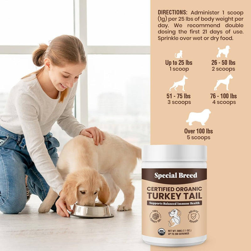 Special Breed Turkey Tail Mushroom for Dogs and Cats - Certified Organic Turkey Tail Powder, Canine Immune Support, 200 Grams - PawsPlanet Australia