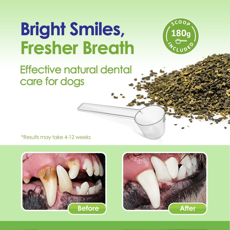 Dog Teeth Cleaning Powder, Dog Plaque and Tartar Remover, Bad Breath Treatment for Dogs with USDA Organic Sea Kelp Powder, Dog Dental Care Made Easy, for All Ages, 6oz - PawsPlanet Australia