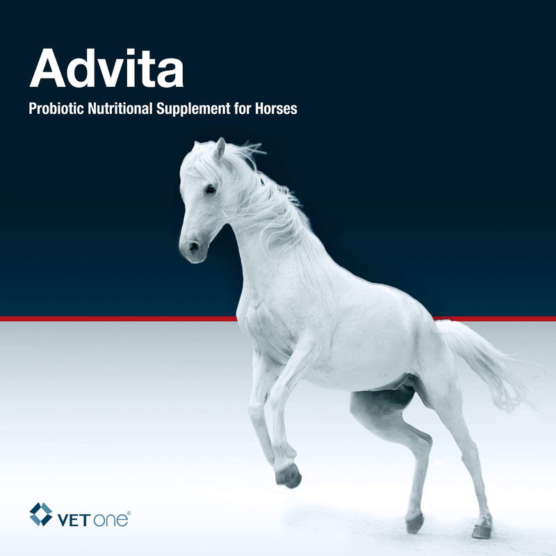 VetOne - Advita™ Apple Flavored Probiotic Paste for Horses | Horse Supplements | Improve Your Horse Digestion | 30g per Tube - BeesActive Australia