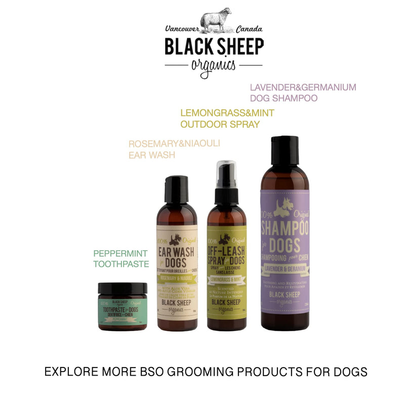 Natural Dog Ear Cleaner Solution - Dog Itchy Ears Treatment - Eliminates Odor & Waxy Buildup - Gentle Dog Ear Wash Formula - Made in Canda by Black Sheep Organics (4 fl oz) - PawsPlanet Australia
