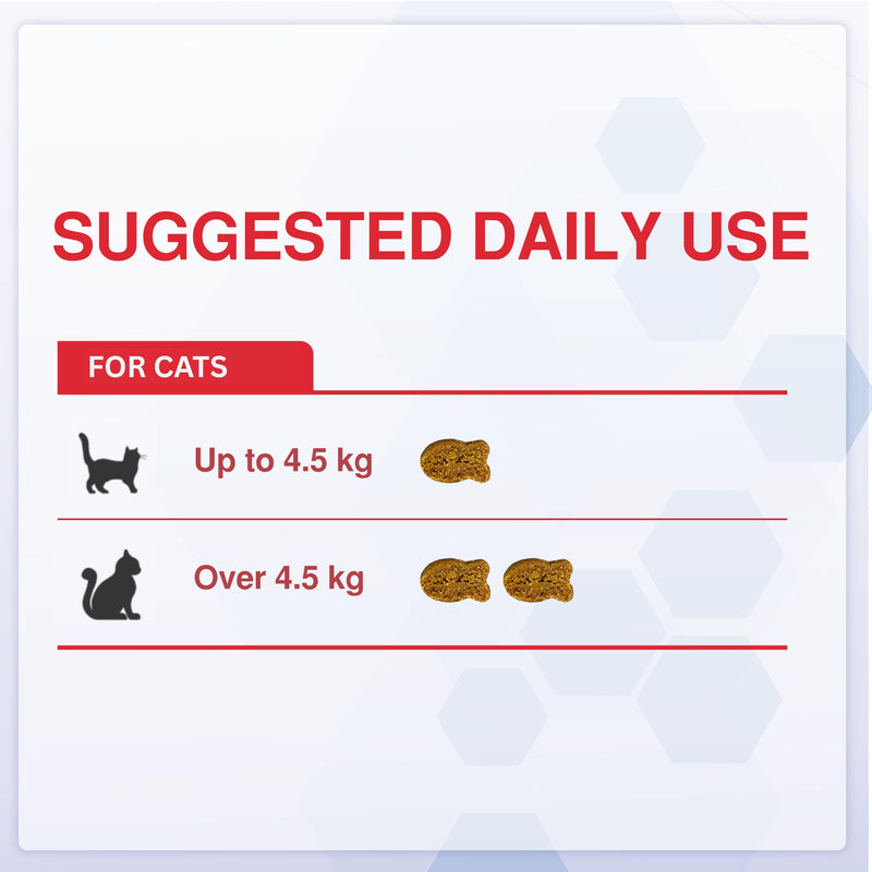 Senior Cat Joint Support Chews – Cat Arthritis, Hip & Joint Supplement with Glucosamine, Chondroitin, MSM, Green-Lipped Mussel, Omega-3 & Hyaluronic Acid – Mobility Relief for Older Cats Treats 80 Count