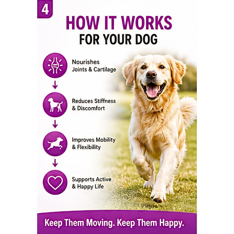 Hip & Joint Dog Chews – 6.3 oz (60 Soft Chews), Natural Beef Flavor, Glucosamine Chondroitin MSM, Collagen & Green Lipped Mussel for Joint Support, Mobility & Stiffness Relief