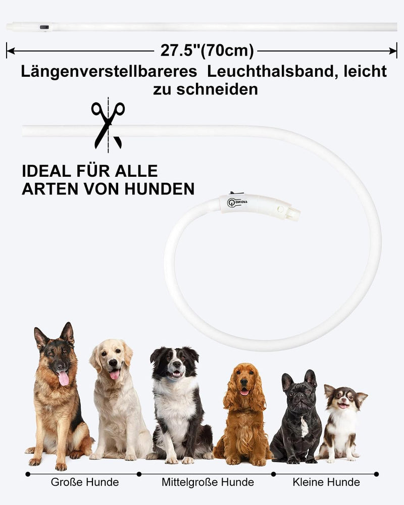 Joytale Luminous Dog Collar USB Rechargeable Dog Collar Luminous for Large Medium Small Dogs and Puppies, LED Collar with 3 Modes for Safety, White 70 cm (Pack of 1) White - BeesActive Australia