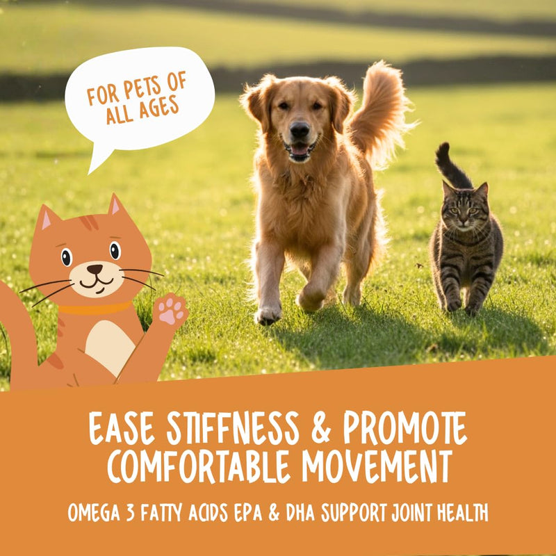 Omega 3 for Dogs & Cats, Omega 369 Fish Oil for Dogs & Cats 1000mg, 120 Softgel Capsules. Seed & Fish Oil Supplement for Healthy Joints, Skin & Coat, Brain, Heart & Immune Health & Vitality.
