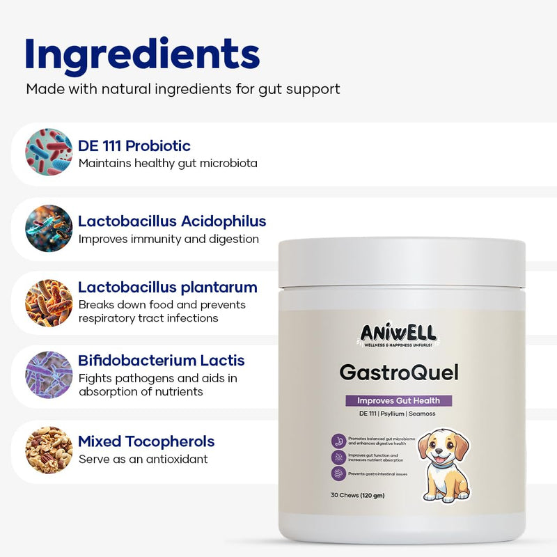 GastroQuel – Probiotics for Dogs | Digestive Support, Gut Health & Bowel Care | Dog Probiotic Chews | Dog Vitamins and Supplements - 30 Count 1