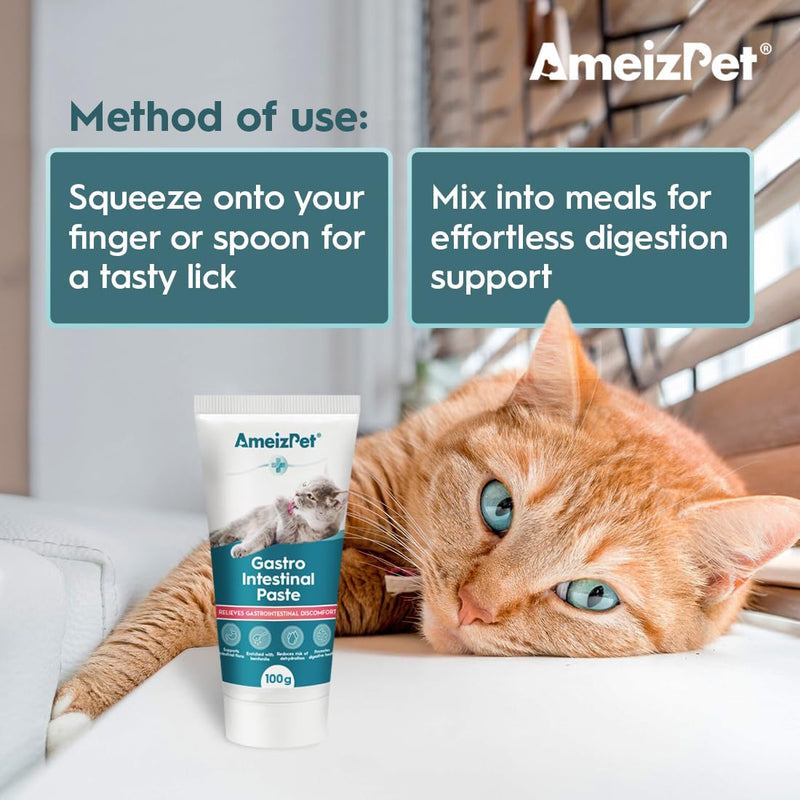 AmeizPet Gastro Intestinal Paste For Cats, Gastro Intestinal Support For Gut Health And Intestinal Flora, Digestive Support Supplement For Cats And Kittens, 3.53 Oz (100g)
