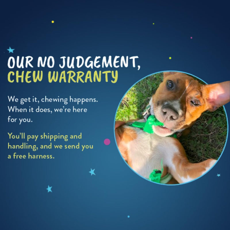 2 Hounds Design Freedom No Pull Dog Harness | Comfortable Control for Easy Walking |Adjustable Dog Harness and Leash Set | Small, Medium & Large Dogs | Made in USA | Solid Colors | 1" LG Royal Blue LG (Chest 28"- 32") - BeesActive Australia