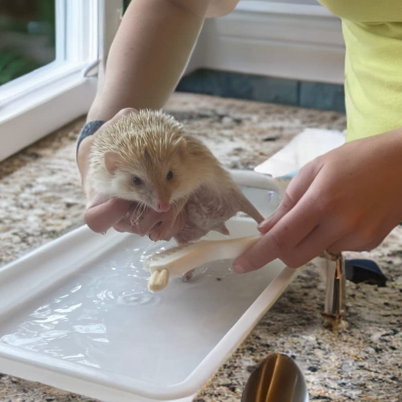 Snout and Shell Hedgehog Bath Supplies Kit - Soft Goat Hair Cleaning Brush - Perfect Hedgehog Grooming, Hygiene, and Care Essentials - Gentle Pet Bath Brush for Small Animals - BeesActive Australia