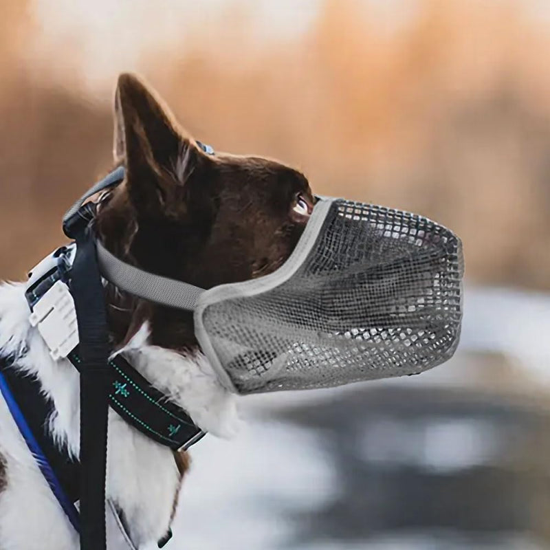 Adiwo muzzle for dogs, dog muzzle with rounded mesh loop, breathable, safe, quick fit for small, medium, large dogs, adjustable eating protection, dog biting and chewing, gray M - BeesActive Australia