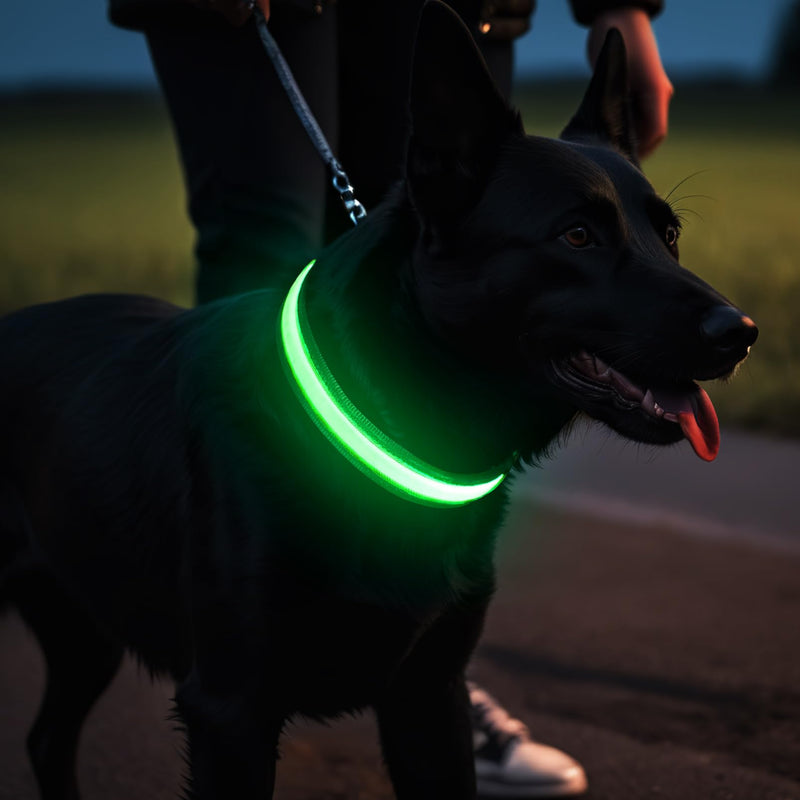 HEELE Luminous Dog Collar, Luminous Collar, Type-C Rechargeable, Luminous Dog Collar, Waterproof, LED Collar for Dogs, Dog Collar with 3 Lighting Modes, Green, M - BeesActive Australia
