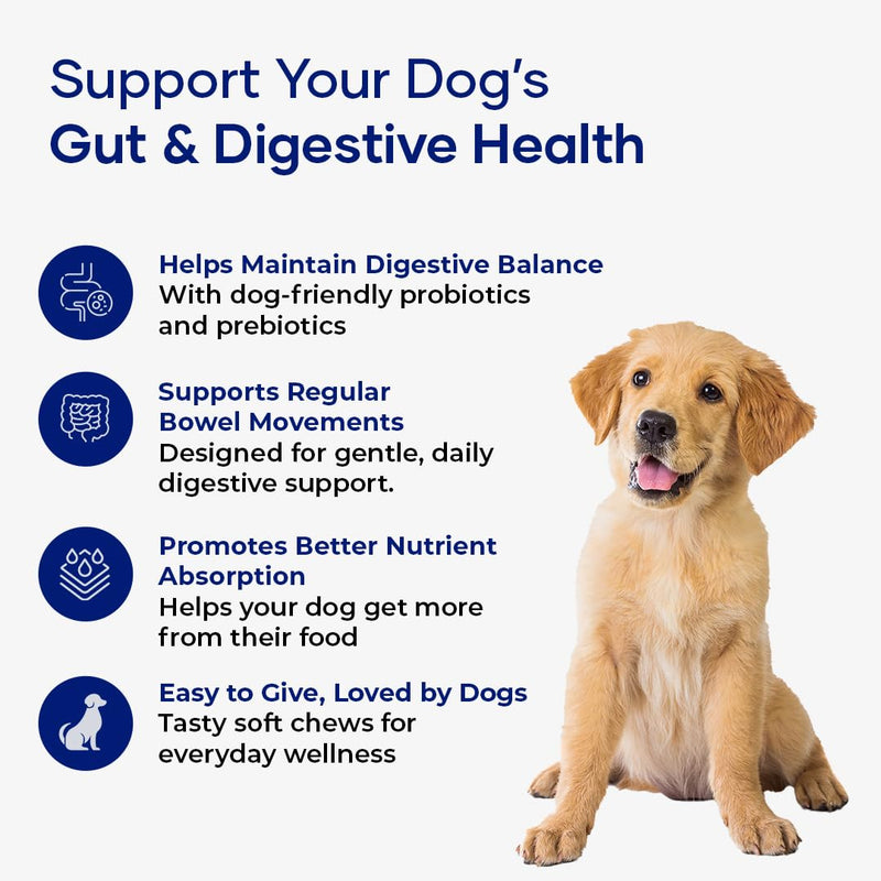 GastroQuel – Probiotics for Dogs | Digestive Support, Gut Health & Bowel Care | Dog Probiotic Chews | Dog Vitamins and Supplements - 30 Count 1