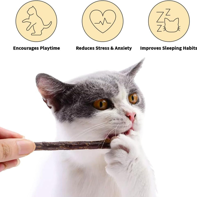 50 PCS Catnip Sticks For Cats, Cat Dental Chew Sticks, Matatabi Cat Dental Care, Silvervine Cat Teeth Cleaning Dental Sticks, Kitten Teething Toys for Indoor Cats 50 pcs