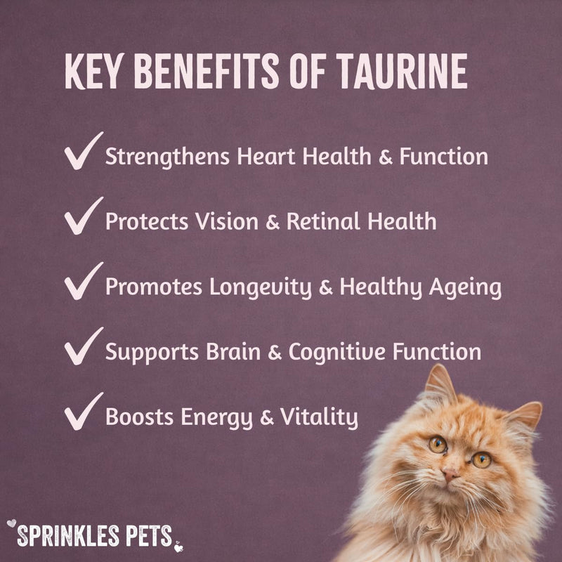 Pure Taurine for Cats 100g Powder – 1 Year+ Supply | Natural Amino Acid for Heart & Eye Health, Kidney & Gut Support and Longevity | Includes Spoon for Precision Dosing | 100% Purity