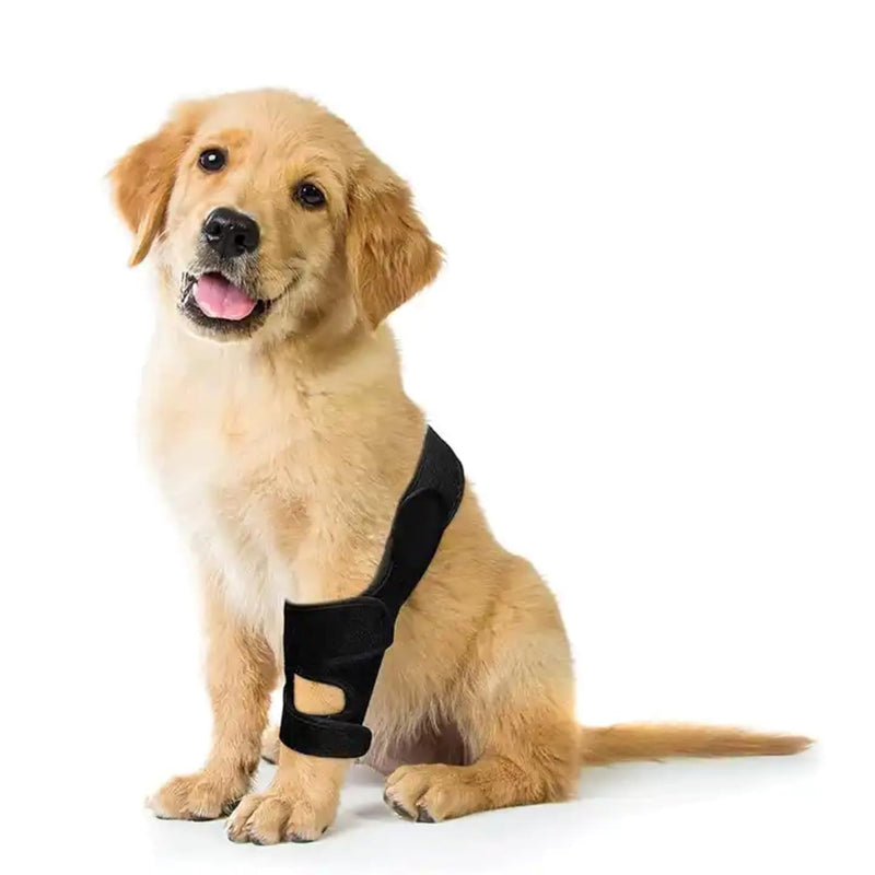 Joint bandage for dogs for front and hind legs, leak protection and support after surgery, help with joint instability (s) S