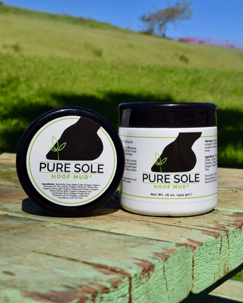Thrush Treatment for Horses - Pure Sole Hoof Mud - Hoof Clay for Horses - A Horse Hoof Care Product for Thrush, White Line, and Hoof Wall Separation | Use Regularly for A Healthy Hoof. - 16 oz. - BeesActive Australia