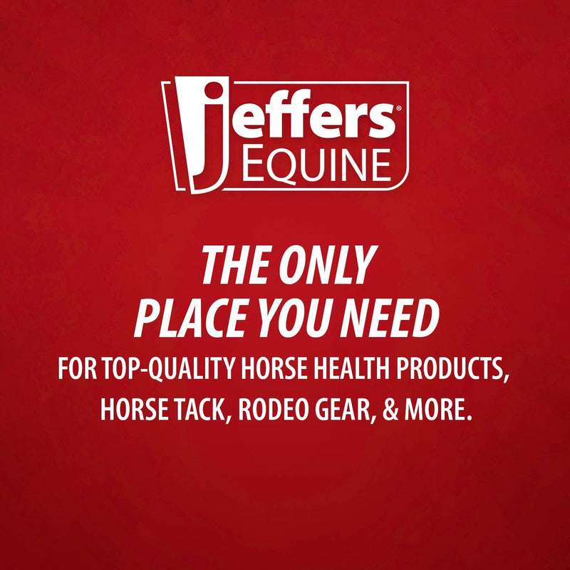 Jeffers Livestock Mini Hoof Rasp for Goats, Sheep, Pony, Mini Horses, Foals – 10" Ergonomic Steel Hoof Trimming Tool with 6 Teeth per Row – One Hand Use, Compact Farrier Hand Rasp
