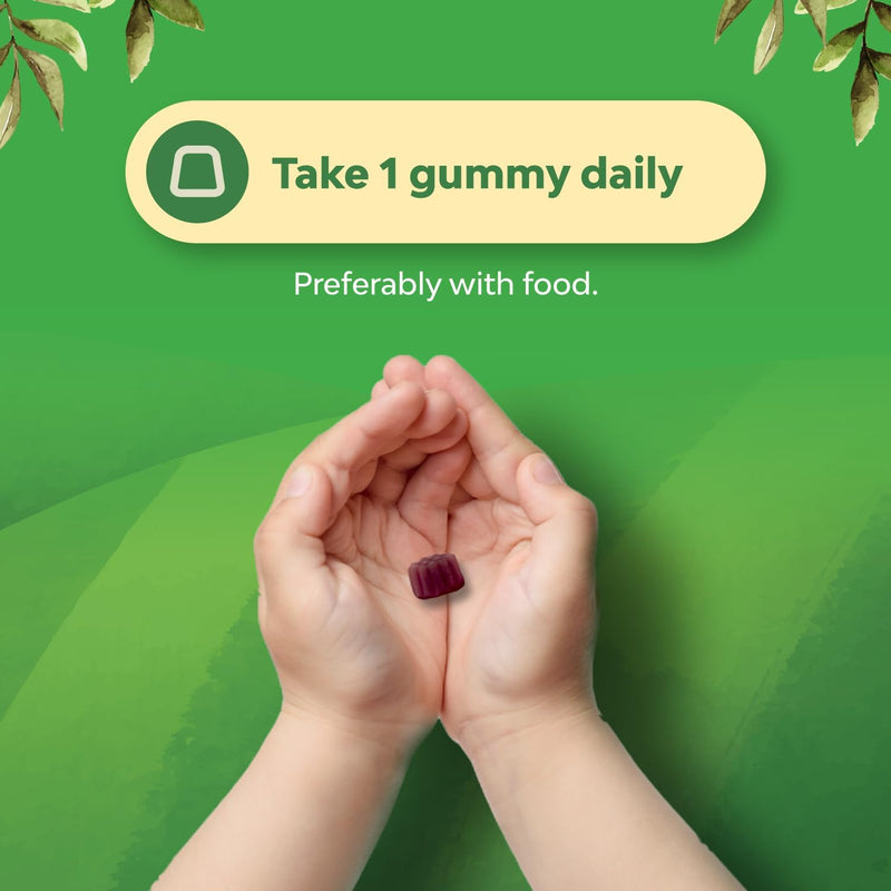 Sambucus Elderberry Gummies for Kids Health - Delicious Black Elderberry Gummies with Zinc and Vitamin C for Kids Immune Support - Gelatin and Gluten Free Non-GMO Immunity Support - 90 Count 90 Count (Pack of 1)