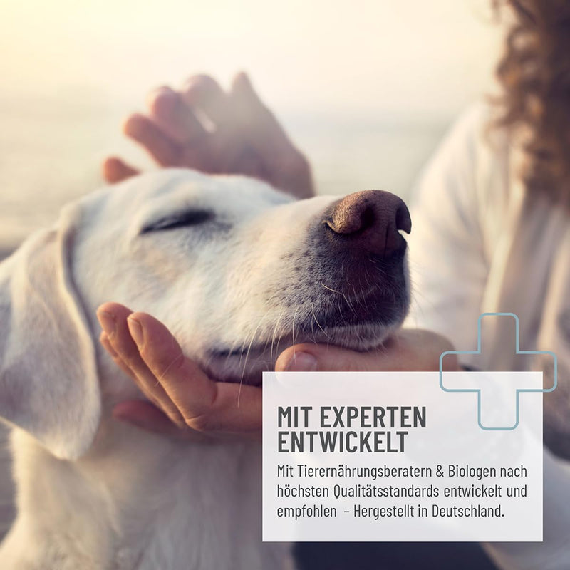 ReaVET Ruhepol tablets for dogs 120 pieces - with valerian and St. John's wort I Feel good, moving, New Year's Eve, loss with high acceptance - BeesActive Australia