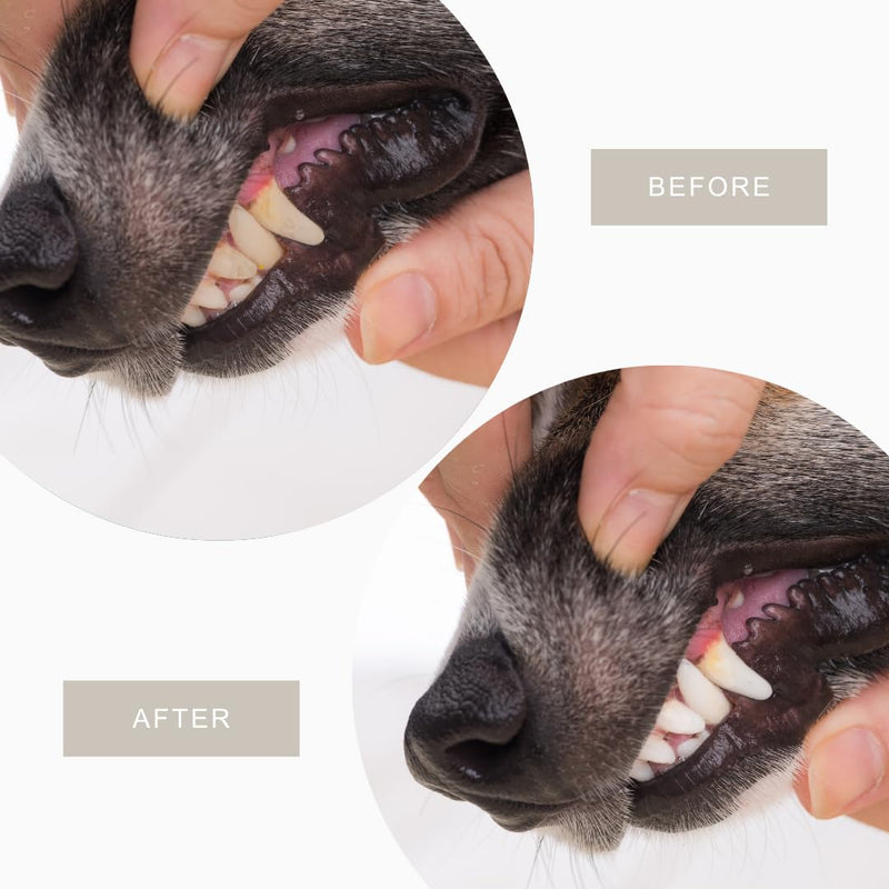 Dental Finger Wipes for Dogs and Cats - 80ct - Fights Plaque, Tartar & Bad Breath - Gentle & pH Balanced Dog Teeth Cleaning Wipes - Ideal for Small Dogs & Cats - BeesActive Australia
