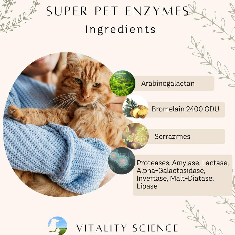 All Natural Super Pet Enzymes for Cats | Complete Spectrum of Digestive Enzymes | Helps Cat Diarrhea, Constipation, Digestion, Allergy & Immunity (Small) Small - BeesActive Australia