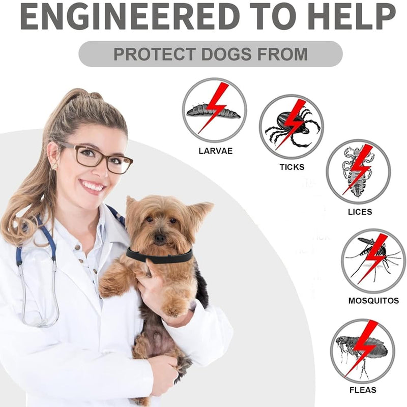 Flea collar, dog tick collar for dogs, effective protection against pests, waterproof, 5 pieces, adjustable flea and tick protection for dogs, all sizes and breeds, 63 cm - BeesActive Australia