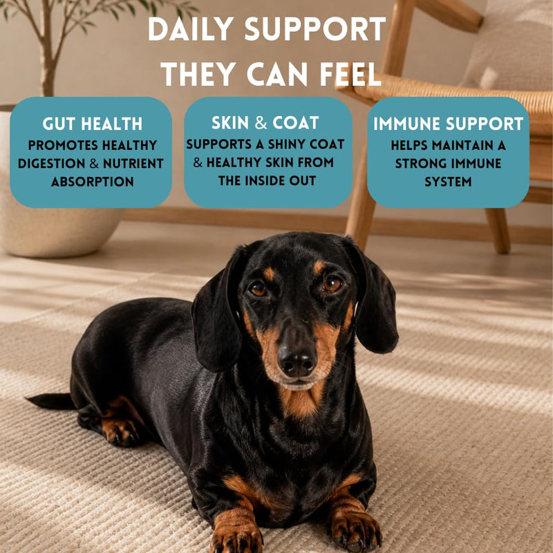 Dog Probiotics Chews for Gut Health – 3 Billion CFU, 6 Strains – Helps with Diarrhea, Itching, Gas & Scooting – Digestive, Immune & Skin Support – Soft Chews for Dogs – 120 Chews Chicken