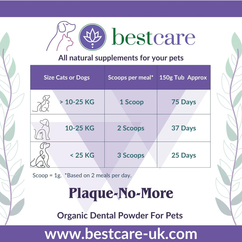 Plaque-No-More
