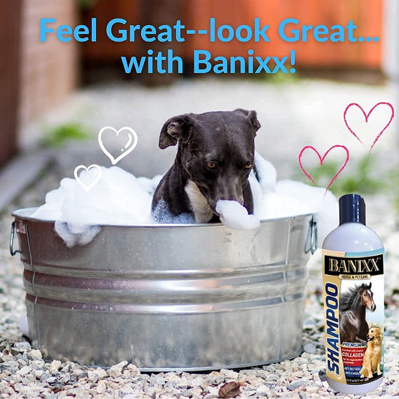 BANIXX Essential First-Aid Solution - BeesActive Australia