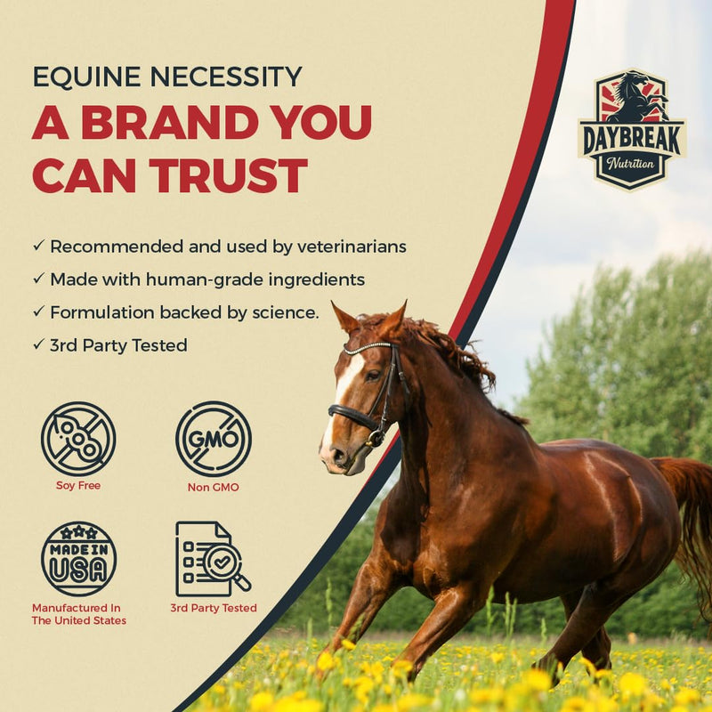 8 in 1 Maximum Strength Equine Joint Supplement - Joint Supplement for Horses - Glucosamine, MSM, Chondroitin, Turmeric, Hyaluronic Acid, Manganese, & Boswelia - 964g (30 Servings) 30 Servings - BeesActive Australia
