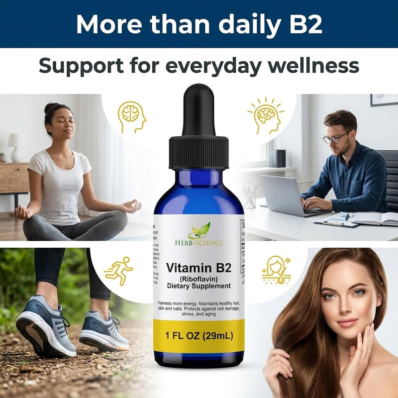 Vitamin B2 Liquid Drops, Riboflavin, Alcohol-Free, 1 Oz | Made with Only 3 Premium Ingredients, Vegan and Non-GMO, in an Easy-to-Take Liquid Formula Bottled in Protective Cobalt Glass 1 Fl Oz (Pack of 1)