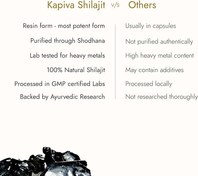 BIGBRANDS Himalayan Shilajit/Sila Jate Resin 40g - For Endurance and Stamina - Super Saver 2 Pack - BeesActive Australia