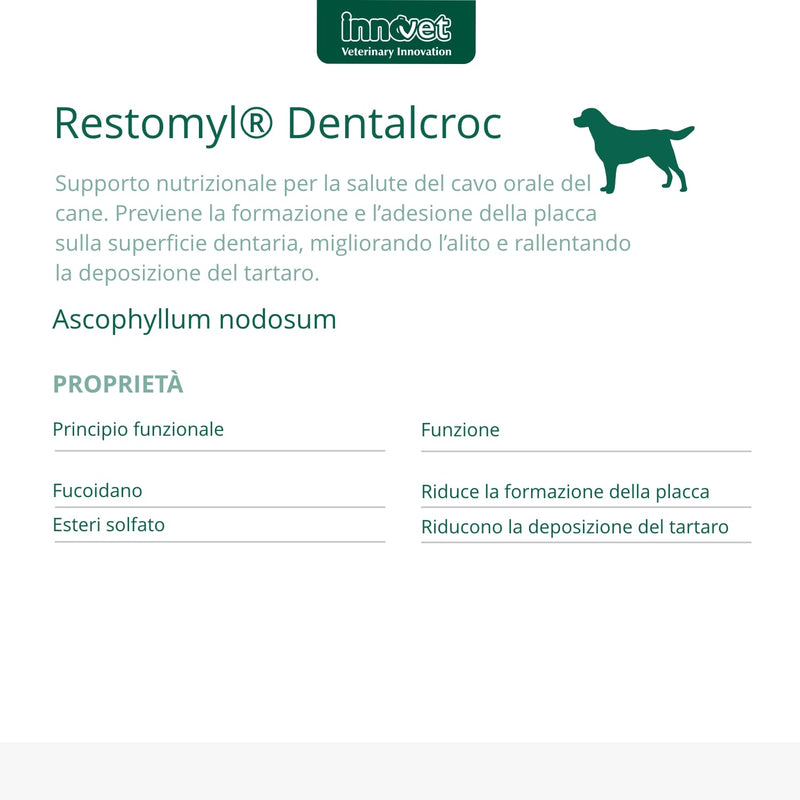 RESTOMYL DENTALCROC 60G